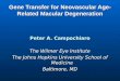 Gene Transfer for Neovascular Age- Related Macular Degeneration Peter A. Campochiaro The Wilmer Eye Institute The Johns Hopkins University School of Medicine