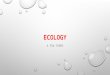 ECOLOGY A FEW TERMS. BIOTIC FACTORS The things that are living, or that came from living things EXAMPLES: Plants Animals Bacteria Fungus (mushrooms, yeasts)