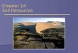 Chapter 14 Soil Resources. Soil  Uppermost layer of Earth’s crust that supports plants, animals and microbes  Soil Forming Factors  Parent Material