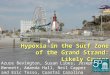 Hypoxia in the Surf Zone of the Grand Strand: Likely Causes Azure Bevington, Susan Libes, Joseph Bennett, Amanda Hall, Neil Capper and Eric Tosso, Coastal