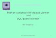 MT Objectviewer May 6 20041 Python-scripted AW object-viewer and SQL-query builder MJ Tempelaar 