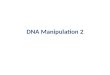 DNA Manipulation 2. DNA The nucleus contains DNA
