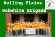 Rolling Plains Bobwhite Brigade Rolling Plains Bobwhite Brigade