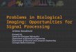 Problems in Biological Imaging: Opportunities for Signal Processing Jelena Kovačević bimagicLab Center for Bioimage Informatics Department of Biomedical