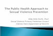 Abby Kelly-Smith, Chair Sexual Violence Primary Prevention Council Indiana State Department of Health