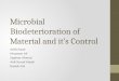 Microbial Biodeterioration of Material and it’s Control Arish Daud Musawer Ali Sagheer Ahmed Anil Yousaf Masih Danish Gul