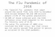 The Flu Pandemic of 1918 The “Spanish flu” pandemic that swept around the world from June 1918 to December 1919 killed between 50 and 100 million people