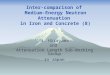 Inter-comparison of Medium-Energy Neutron Attenuation in Iron and Concrete (8) H. Hirayama and Attenuation Length Sub-Working Group in Japan