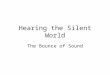 Hearing the Silent World The Bounce of Sound. TLA: Echolocate in Space Purpose: –Can you echolocate? What properties of objects can you detect? Ingredients