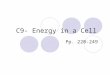 C9- Energy in a Cell Pp. 220-249. Table of Contents Section 9.1-The Need for Energy Section 9.2- Photosynthesis: Trapping the Sun’s EnergyPhotosynthesis:
