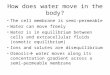 How does water move in the body? The cell membrane is semi-permeable Water can move freely Water is in equilibrium between cells and extracellular fluids