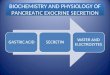 BIOCHEMISTRY AND PHYSIOLOGY OF PANCREATIC EXOCRINE SECRETION