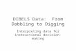 DIBELS Data: From Dabbling to Digging Interpreting data for instructional decision-making