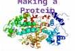 Making a Protein. Replication Replication is the process of copying DNA for new cells Steps in Replication 1)The DNA unzips 2)Free floating nitrogen bases