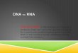 DNA TO RNA Transcription is the process of creating a molecule that can carry the genetic blueprint for a particular protein coding gene from the DNA