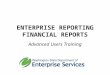 ENTERPRISE REPORTING FINANCIAL REPORTS Advanced Users Training