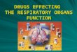 DRUGS EFFECTING THE RESPIRATORY ORGANS FUNCTION.  In ambulatory settings a quantity of patients with respiratory diseases is 25 % from all patients