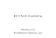 PHENIX Overview Mickey Chiu Brookhaven National Lab