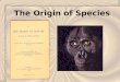The Origin of Species Key Questions: How do existing species give rise to new species? How do species diversify? What does the “family tree” of species