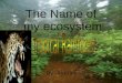 The Name of my ecosystem By :Ayerim. A Ecosystem is Living things, and places. -A Biome is certain types living things, Climate, and the places