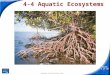 Slide 1 of 39 Copyright Pearson Prentice Hall 4-4 Aquatic Ecosystems