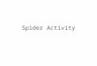 Spider Activity. Spider Info Phylum, Arthropoda; Class, Arachnida; Order, Araneae Adult Males and Females Male pedipalps usually enlarged, looking like
