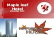 Maple leaf Hotel Business plan. Product lines Product 1.Rooms There are many different rooms: Presidential Suite, Deluxe rooms, Ordinary housing. Single