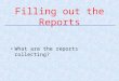 What are the reports collecting? Filling out the Reports
