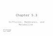 Chapter 5.3 Diffusion, Membranes, and Metabolism AP Biology Fall 2010