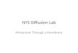 NYS Diffusion Lab Movement Through a Membrane. The Benedict’s Test http://youtu.be/QU0VBc HnQOk http://youtu.be/QU0VBc HnQOk Benedict’s solution is BLUE