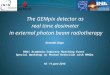 The GEMpix detector as real time dosimeter in external photon beam radiotherapy Gerardo Claps RD51 Academia-Industry Matching Event Special Workshop on