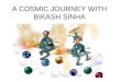 A COSMIC JOURNEY WITH BIKASH SINHA. The QCD Transition in the Early Universe Sibaji Raha Bose Institute Kolkata February 7, 2005