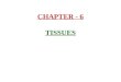 CHAPTER - 6 TISSUES. 1) Tissues :- Tissue is a group of cells having similar structure and function. In plants and animals groups of cells called tissues