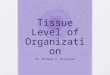 Tissue Level of Organization Dr. Michael P. Gillespie