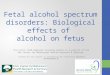 Fetal alcohol spectrum disorders: Biological effects of alcohol on fetus The Arctic FASD Regional Training Center is a project of the UAA Center for Behavioral