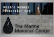 Marine Mammal Protection Act. Purpose of law Protects all marine mammals Regulates “take” animals in US waters Regulates imports of protected mammals