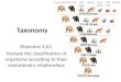 Taxonomy Objective 4.01: Analyze the classification of organisms according to their evolutionary relationships