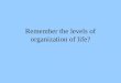 Remember the levels of organization of life? Life: Small Picture to Big Picture
