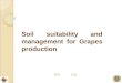Next End Soil suitability and management for Grapes production