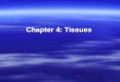 Chapter 4: Tissues. Epithelial Tissue  Covers exposed surfaces –Example: The skin  Lines internal passageways –Example: The intestines  Forms glands