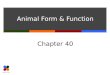 Animal Form & Function Chapter 40. Slide 2 of 29 Chapter 40 – Basic Principles  Cells  Tissues  Organs  Organ Systems  Tissues – groups of cells