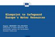 Blueprint to Safeguard Europe's Water Resources Dagmar BEHRENDT KALJARIKOVA Protection of Water Resources Unit Directorate General for Environment European