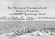 The Timucuan Ecological and Historic Preserve and MORE Scavenger Hunt!