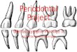 Periodontal Project Dental Hygiene Practice II By: Brittanymarie Horrigan