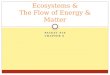 PACKET #19 CHAPTER # Ecosystems & The Flow of Energy & Matter