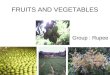 FRUITS AND VEGETABLES Group : Rupee. Current status of Fruit and Vegetable sector in Sri Lanka.  There is a growing demand for fresh fruits and vegetables