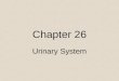Chapter 26 Urinary System. Functions of the Kidneys Regulating blood ionic composition Regulating blood pH Regulating blood volume Regulating blood
