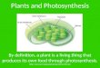 By definition, a plant is a living thing that produces its own food through photosynthesis.  Plants and Photosynthesis