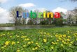 LubzinaLubzina. Lubzina is a small village in the south- east of Poland. Lubzina has got very interesting history, some monuments and many beautiful places