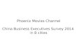 Phoenix Movies Channel China Business Executives Survey 2014 in 8 cities
